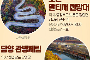 [인포그래픽] “황금 소나기 보러 가자”…‘인생샷’ 나오는 단풍 명소들