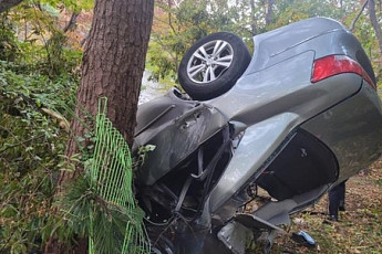 남해 사찰 비탈길에서 승용차 추락해 2명 사망·3명 중상