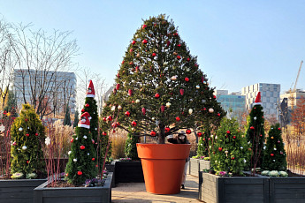 한겨울 '꽃밭' 크리스마스…서울식물원 '겨울정원' 전시