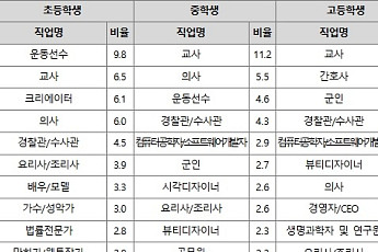 학생들 희망직업, SW개발자 약진…교사 등 안정직업 선호도 여전