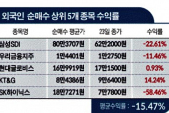 [2022증시 결산]①개미들이 사들인 5종목 모두 ‘마이너스’…평균 수익률 -20%