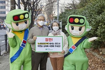 노인 보행자 '아슬아슬'…전국 60곳, 452건 위험요인 확인