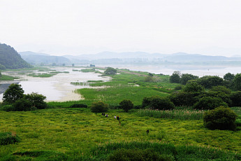 람사르습지도시 국내 후보지 공모…2025년 국제 인증 목표