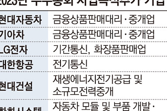 현대차는 중고차, 카카오페이는 온라인상품판매… 이참에 새 먹거리 찾는다[2023 주총 관전포인트]①