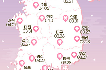2023 벚꽃 개화시기 정리 [인포그래픽]