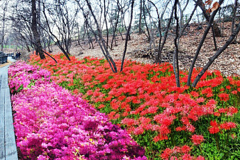 동대문구, 배봉산근린공원 화장실·배드민턴장 등 정비