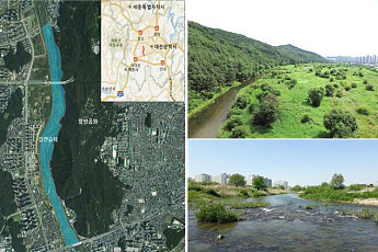 대전 갑천, 31번째 '국가습지보호지역' 지정…하반기 보전계획 수립 착수