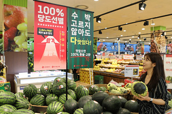 유통업계, 여름철 대표 과일 ‘수박’으로 경쟁…종류·당도↑