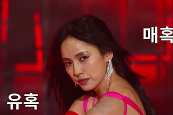 “끝났다, 이건 40금”…화사도 놀란 이효리·이상순 파격 무대