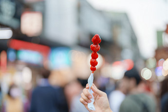 탕후루·아이돌·기업인...올해도 '달나라 국감' 예고