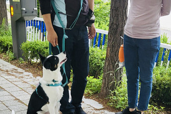 서울시 “반려동물과의 행복한 동행 도와드려요”