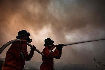 인니 산불 피해, 싱가포르ㆍ말레이시아 등 인근 국가로 확산