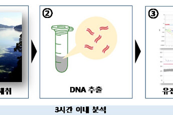 팔당호 악취 사전에 확인…흙·곰팡내 감지 유전자 분석법 개발