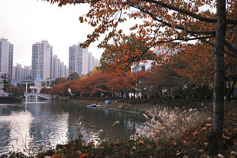 “호수에 펼쳐진 낙엽길 걸어요”…송파구, 가을 명소 4곳 소개