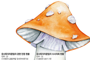 [자본시장의 公敵]①독버섯보다 더 질긴 불공정 세력
