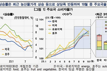 “팬데믹·전쟁 등으로 비용압력 누증…공급충격 겹쳐 디스인플레이션 더딜수도”