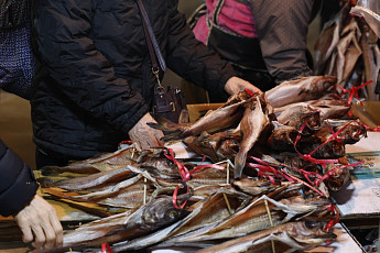 화려한 음식 앞 과식·과음 금물…명절 식단관리 요령
