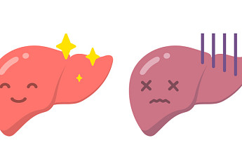 세계 첫 지방간염 치료제 탄생…美 FDA, 마드리드갈 레즈디프라 승인