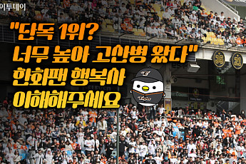 “단독 1위? 너무 높아 고산병 왔다” 한화팬 행복사 이해해주세요 [요즘, 이거]