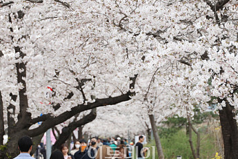 낮  최고 23도, 밤부터 비...미세먼지 주의 [날씨]