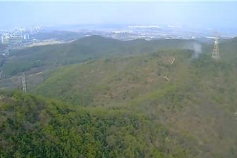 [속보] 경기 양평 칠보산 인근 산불 발생…안전재난문자 발송