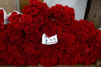 어버이날 카네이션 비상?…팔 상자가 없다