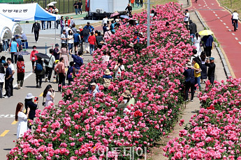 장미 보고 미식 즐기고…서울 곳곳 ‘마실’ 떠나볼까
