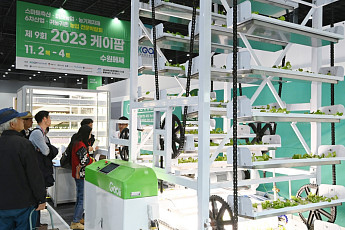 사기에 시달리고 돈은 못 벌고…