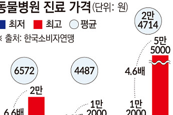 이달 펫보험 비교 서비스 오픈…활성화 열쇠는 '의료 표준화'