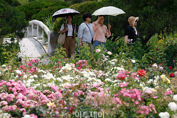 손등검버섯, 얼굴 검버섯보다 치료 난도 더 높을까? [e건강~쏙]