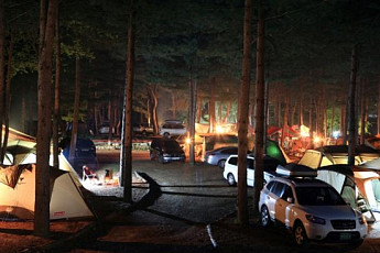 [여행]초록숲 병풍 삼아…자연속에서 하룻밤을