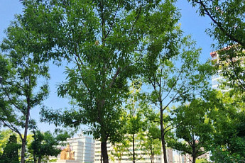 가로정원·옥상정원, 일상속으로...