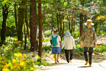 36년 방치된 땅 ‘산림치유 공간’으로 재탄생…“맨발로 걷고 피톤치드 듬뿍” [區석區석-강북구 북한산 숲속쉼터]