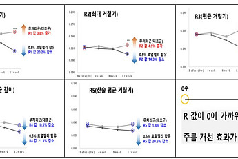 여왕벌 먹이 '로열젤리', 주름 개선 화장품으로 변신…내달 시판