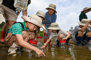 현대모비스, 충북 미호강에 멸종위기종 미호종개 3000마리 방류
