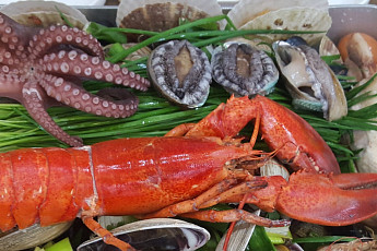 '2TV 생생정보' 오늘방송맛집- 대결 맛대맛, 해물전골·물회 맛집 '해○○○'