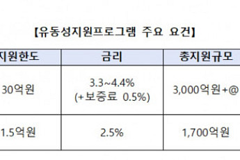인터파크쇼핑·AK몰 정산지연 피해기업 지원 나선다