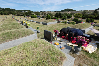 성묘하다 조상 곁으로⋯벌 쏘임·뱀 물림 대처 요령