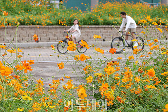 토요일 낮 최고 30도 '포근'⋯최저 12도 '일교차 주의' [날씨]