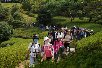 산림청 동서트레일, 세계인 사로잡는 관광명소로!