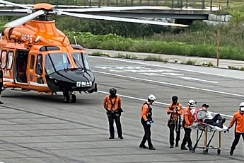 등산 중 식물 섭취한 등산객, 마비돼 헬기 이송…'사약 원료'라는 이 꽃은 무엇?