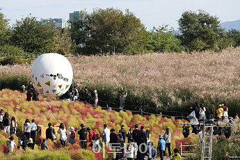 하늘공원 서울억새축제, 주말 나들이객 '북적'[포토]