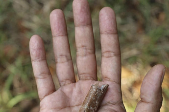 70만 년 전 인류 키는 95cm…‘호빗’보다 작아