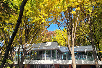 ‘도심 속 자연, 특별한 휴식’…성동구, ‘대현산 숲속 책 쉼터’ 오픈