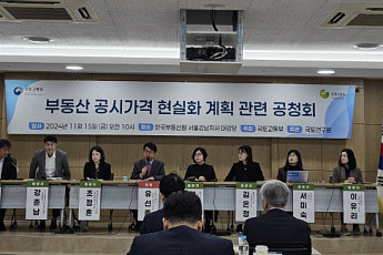 2025년 공시가격 현실화율 또 동결 전망…아파트 69%·주택 53.6%