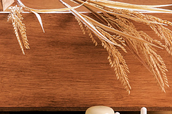 W컨셉, ‘박막례 할머니 화장품’ 례례 온라인 단독 론칭