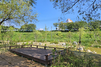 영등포구, 안양천 생태 복원으로 ‘자연환경대상’ 우수상 수상