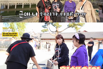 '같이 삽시다' 박원숙, 경복궁 촬영 중 허리 통증…휠체어 타고 투어 마무리