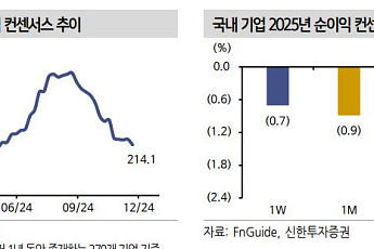 안갯속 탄핵정국, 어두운 기업 실적 더 추락하나.. 4분기도 2025년도 어렵다