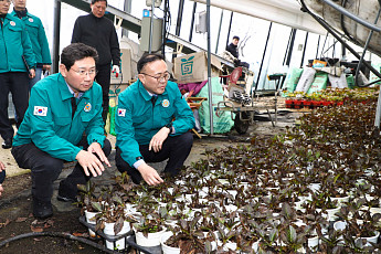 폭설 피해 역대 최대...용인특례시 ‘대설피해 특별재난지역’ 지정